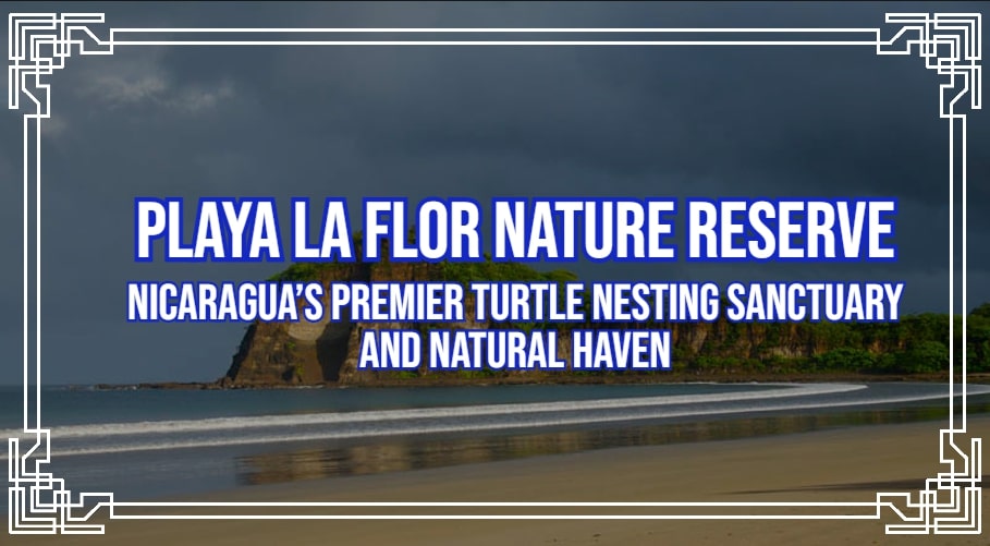 Playa La Flor Nature Reserve: Nicaragua’s Premier Turtle Nesting Sanctuary and Natural Haven